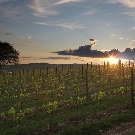 Agriturismo Poggio Al Sasso Blera Zewnętrze zdjęcie